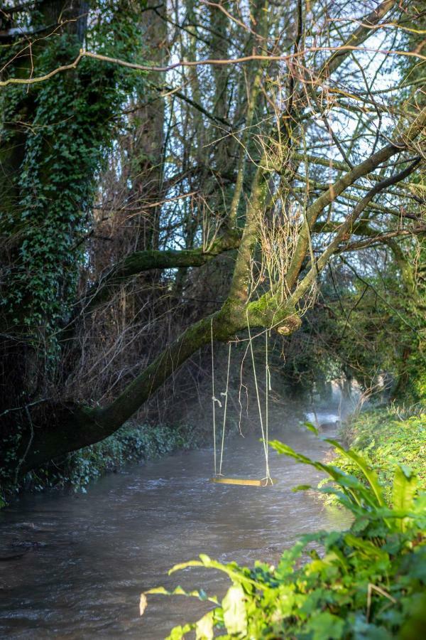 West Cottage, Cerne Abbas Lane دورتشستر المظهر الخارجي الصورة